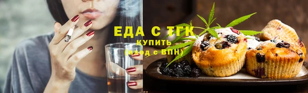 индика Надым