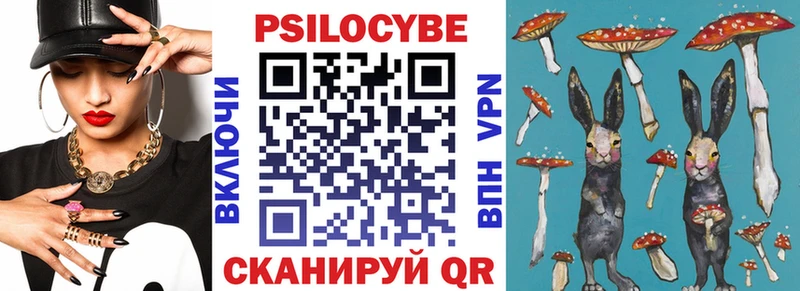 Псилоцибиновые грибы Psilocybe  Сясьстрой 